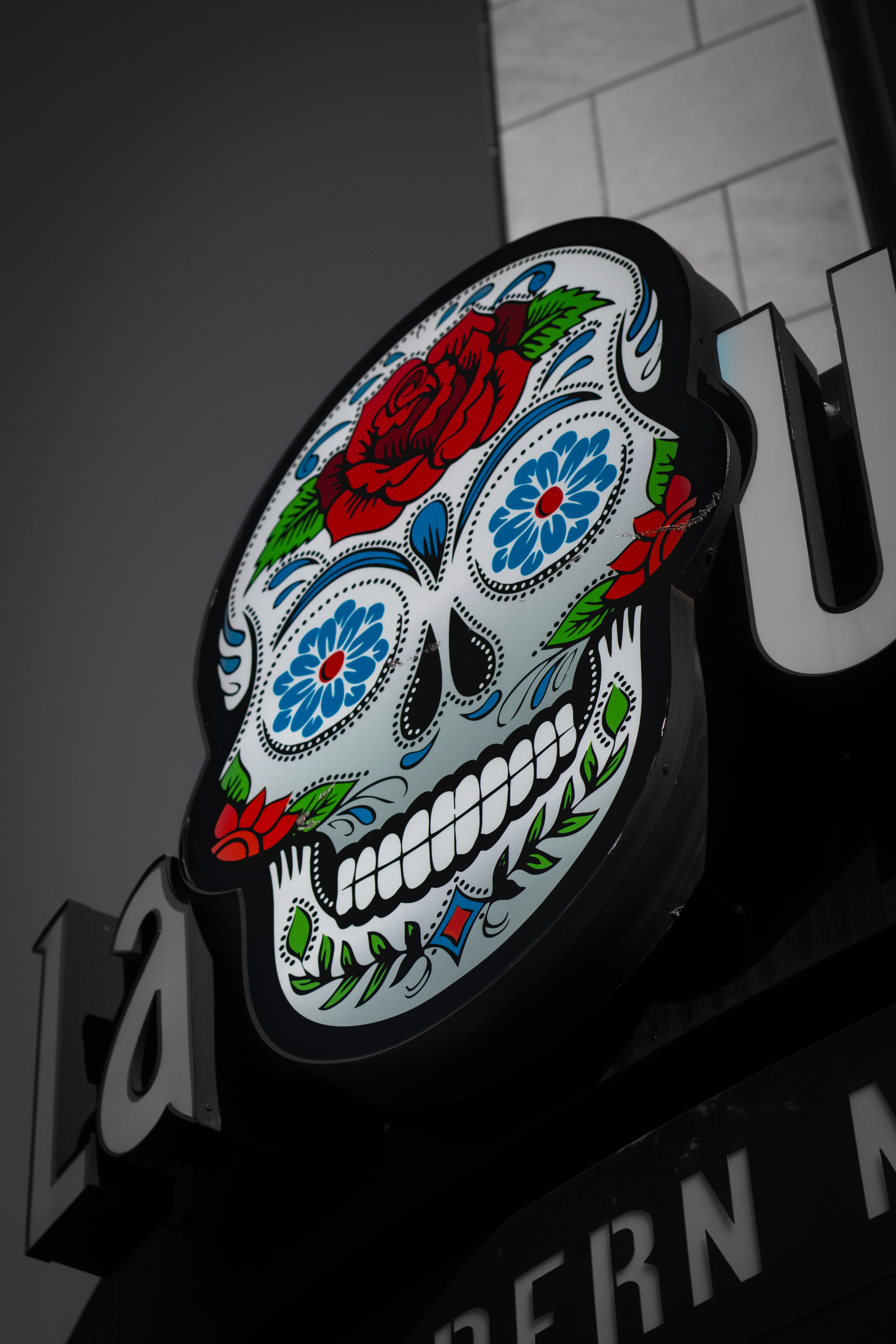 skull from restuarant downtown